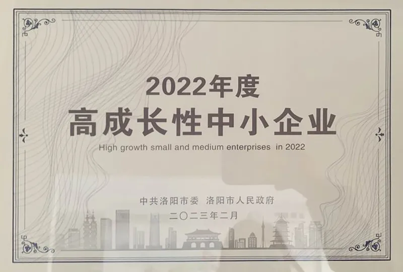 High growth potential of small and medium-sized enterprises