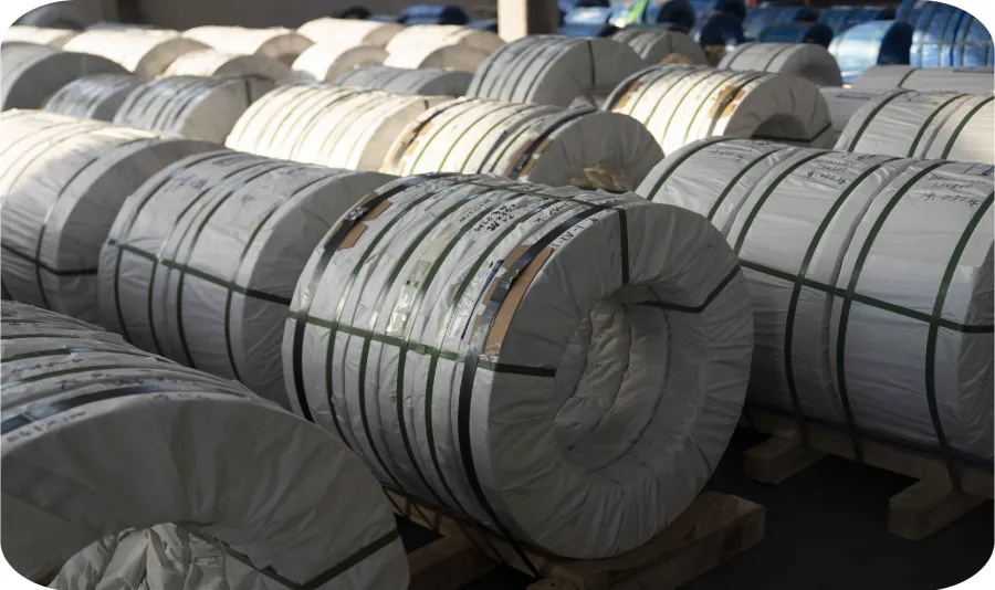 2024 The annual output value of the company exceeded 800 million yuan