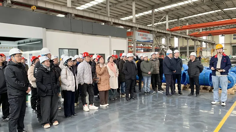 Digital and Intelligent Transformation, Benchmarking and Improvement